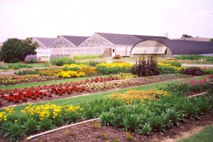 horticulture